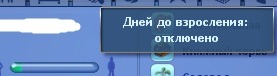 633533.jpg