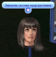 636795.jpg