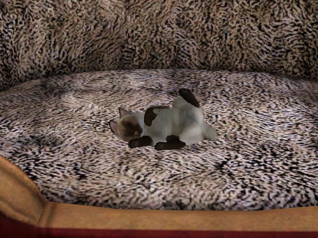 638020.jpg