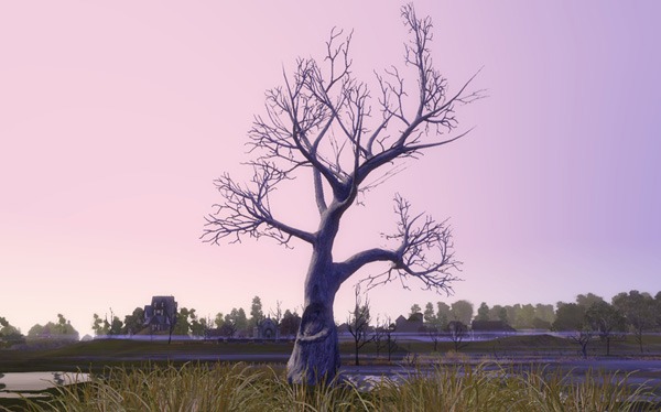643783.jpg