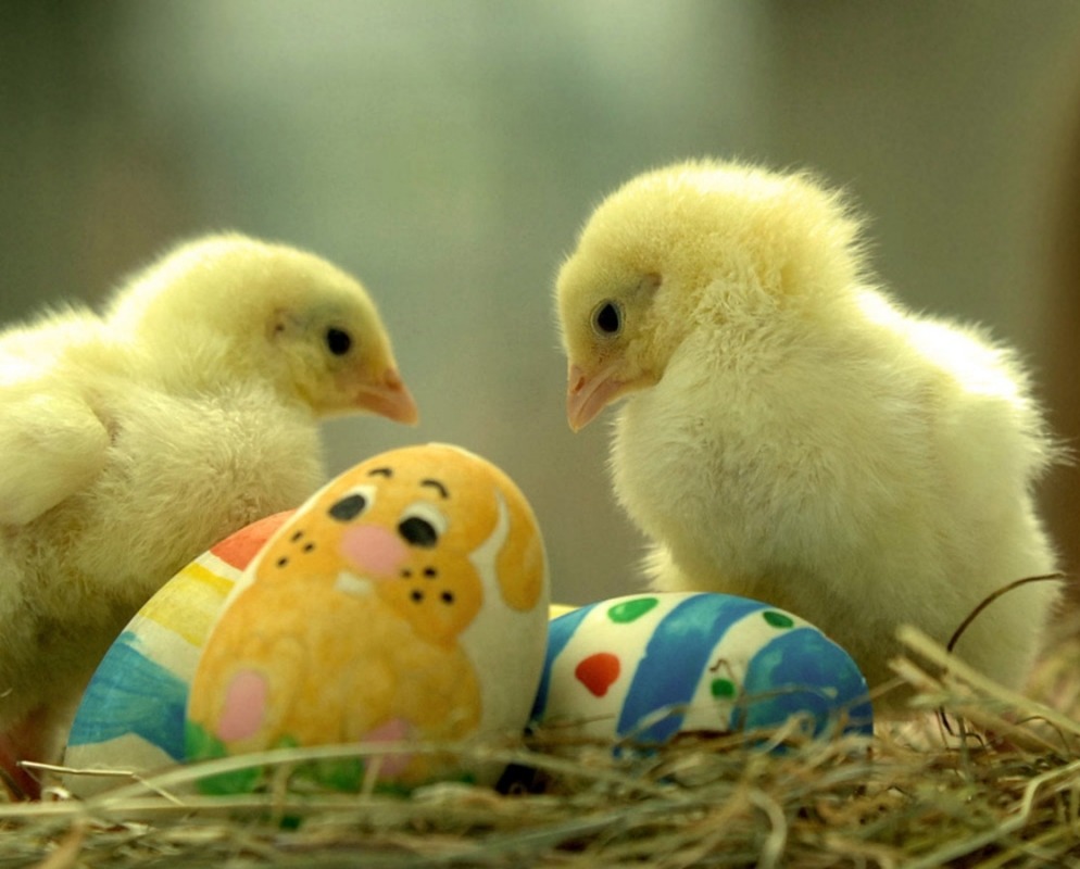 http://4put.ru/pictures/max/22/67781.jpg