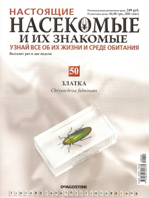 Насекомые №50 Златка (Chrysochroa fulminans) фото, обсуждение