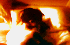 http://4put.ru/pictures/max/252/774825.gif