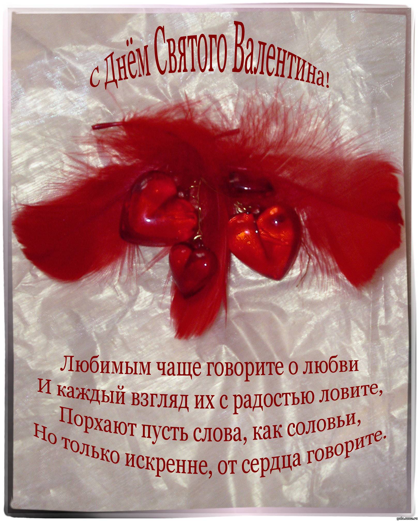 Злые поздравления подруге Злые поздравления подруге