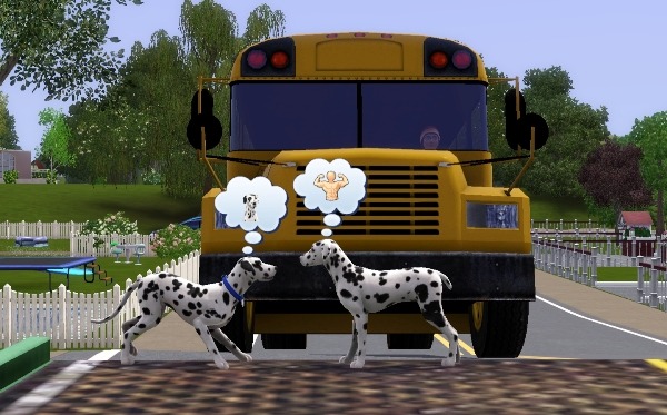 810390.jpg