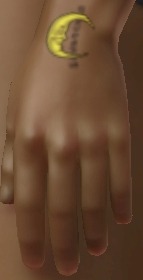 813561.jpg