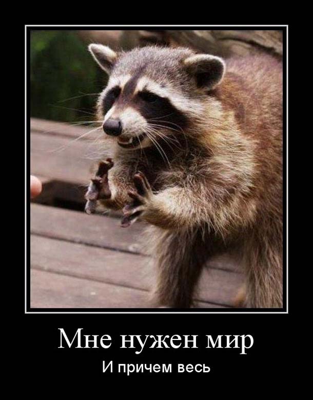 картинки веселые смешные онлайн картинки веселые смешные