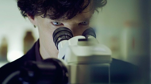 http://4put.ru/pictures/max/266/817240.jpg