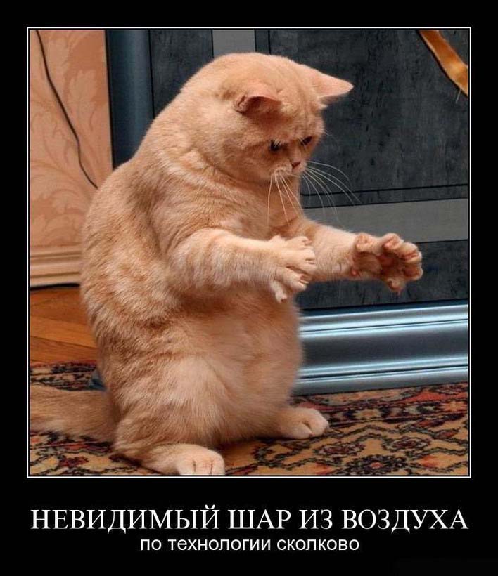 Прикольные открытки фото нет 433