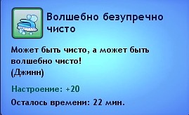 855906.jpg