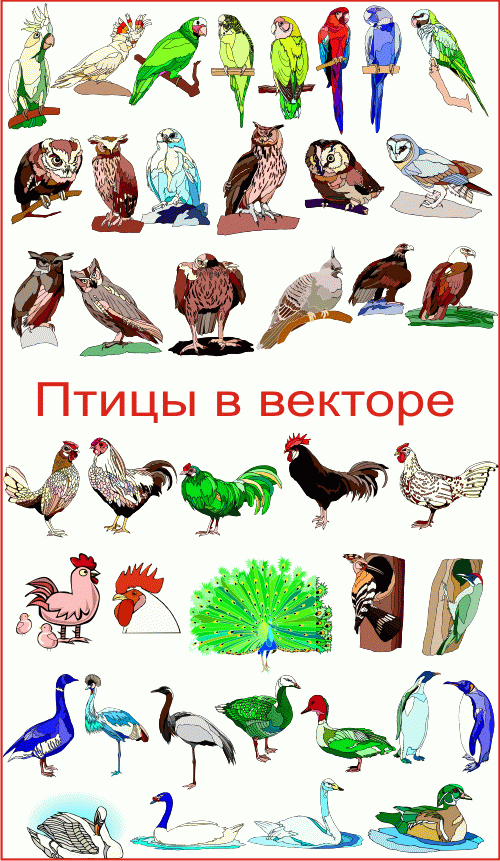 Книга роспись скачать бесплатно Книга роспись скачать бесплатно