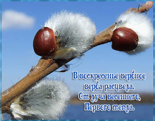 http://4put.ru/pictures/max/290/891688.gif