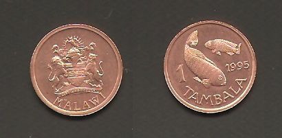 Монеты и банкноты №8 (1 пенс Ирландии, 1 тамбала Малави)