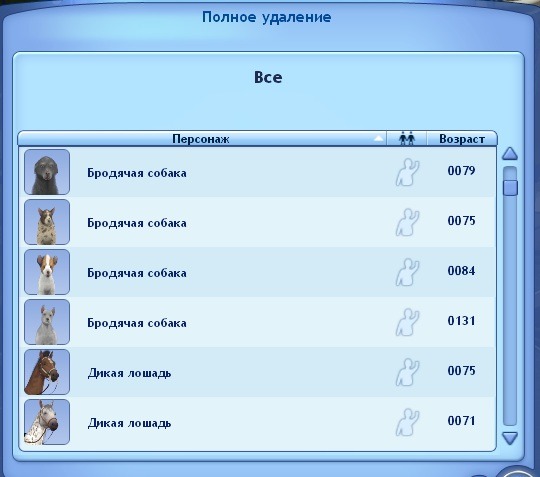 905633.jpg