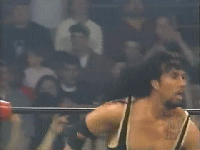 917882.gif