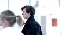 http://4put.ru/pictures/max/299/919495.gif
