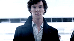 http://4put.ru/pictures/max/299/919501.gif
