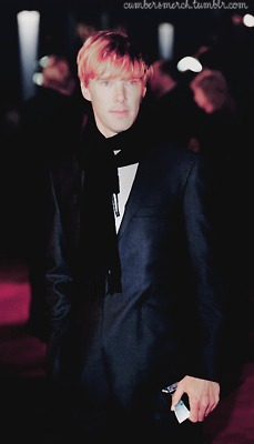 http://4put.ru/pictures/max/304/934901.jpg