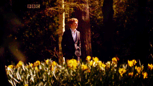 http://4put.ru/pictures/max/305/937557.gif
