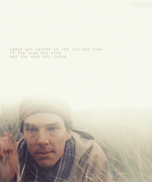 http://4put.ru/pictures/max/305/937560.gif