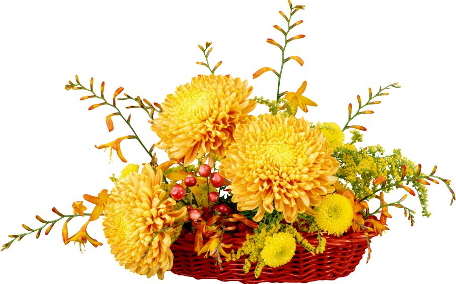 http://4put.ru/pictures/max/310/953931.jpg