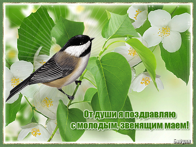 http://4put.ru/pictures/max/312/958555.gif