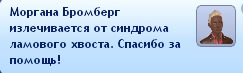 962192.jpg