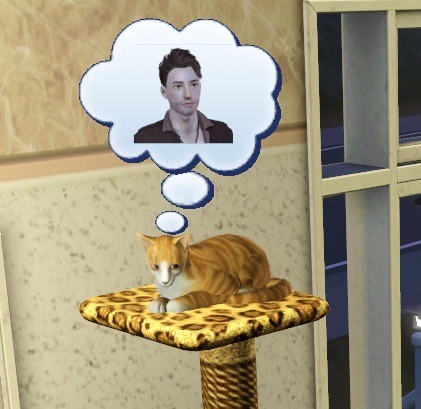 Кошки в The Sims 3: Pets 989051