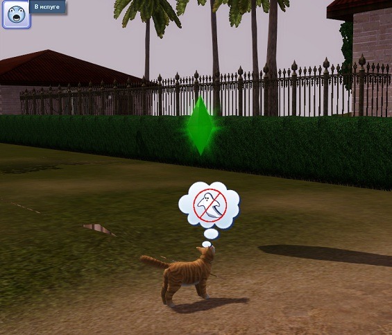 Кошки в The Sims 3: Pets 989064