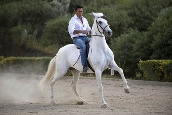 Fernando Colunga - Page 39 1002817