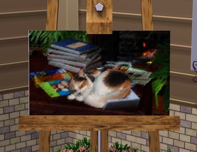103736.jpg