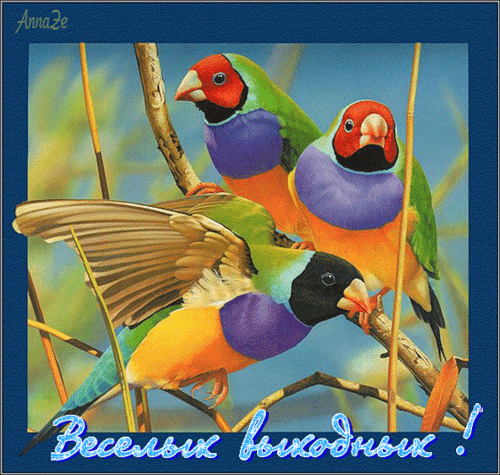 Пожелания на выходные дни своими словами красивые 2021