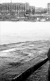 http://4put.ru/pictures/max/337/1036091.gif