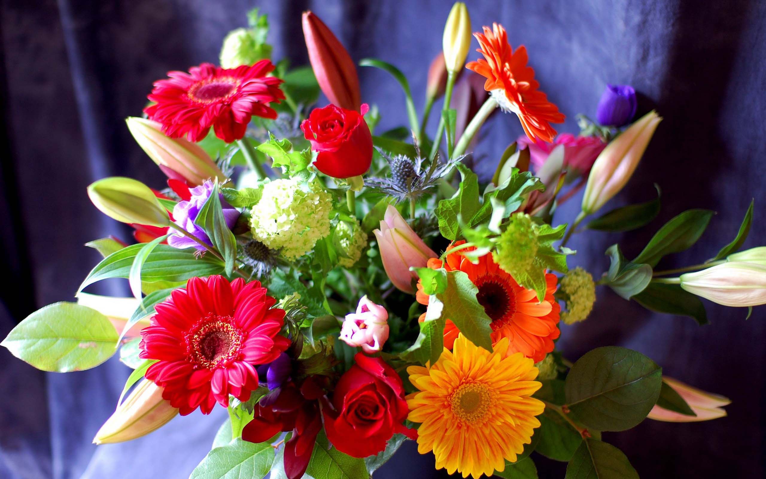 http://4put.ru/pictures/max/351/1078349.jpg