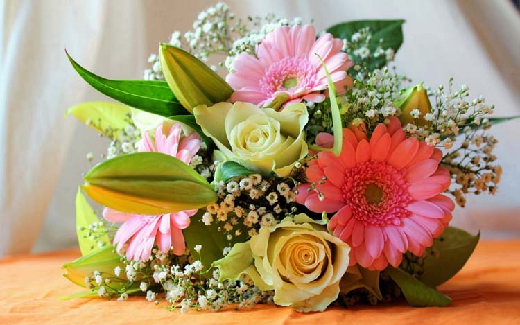 http://4put.ru/pictures/max/351/1078411.jpg