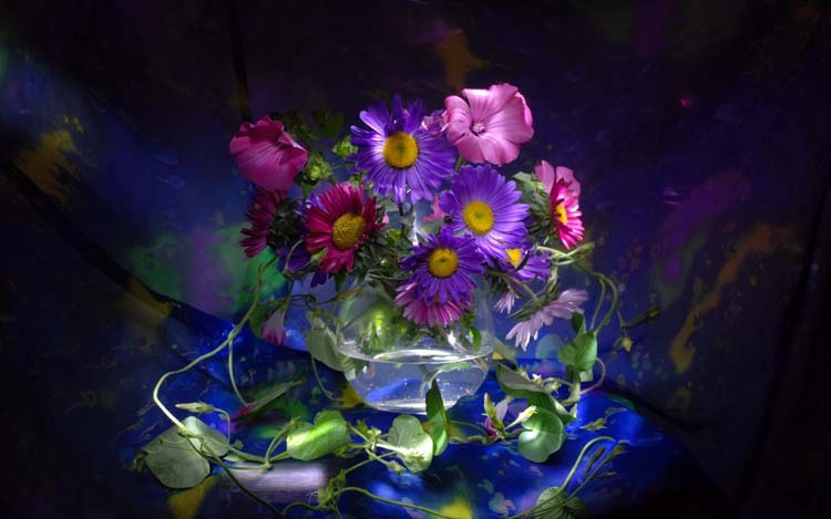 http://4put.ru/pictures/max/351/1080181.jpg