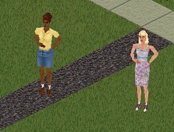 1081839.jpg