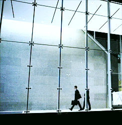 http://4put.ru/pictures/max/355/1093584.gif
