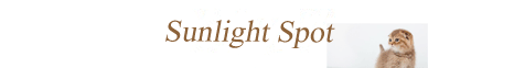 sunlightspot.jimdo.com - сайт питомника Sunlight Spot. Шотландские кошки и котята.