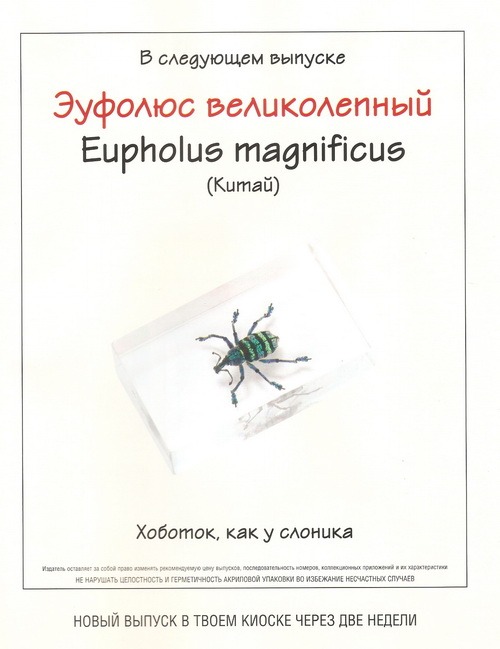 Насекомые №65 Царственная цикада Помпония (Pomponia imperatoria)