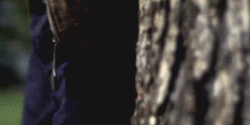 http://4put.ru/pictures/max/364/1119711.gif