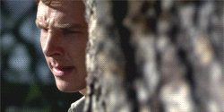http://4put.ru/pictures/max/364/1119714.gif