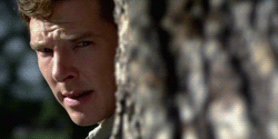 http://4put.ru/pictures/max/364/1119716.gif