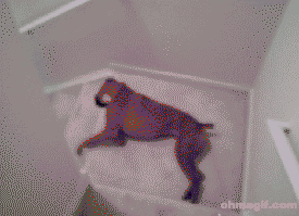 http://4put.ru/pictures/max/365/1123918.gif