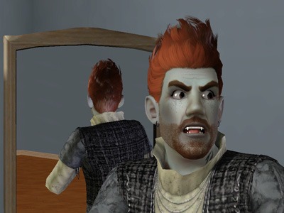 1215673.jpg