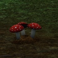 1219387.jpg