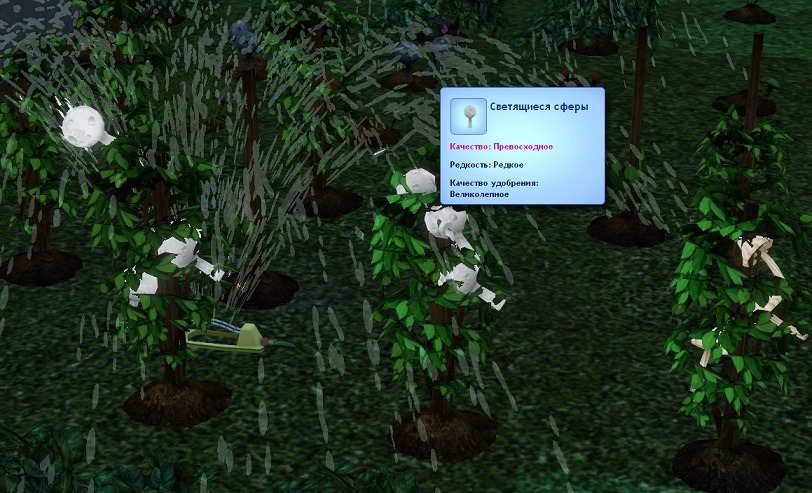 1239618.jpg