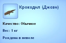 1240940.jpg