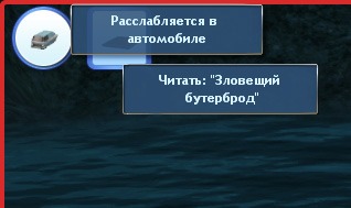 1247623.jpg