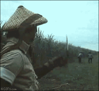 1248660.gif